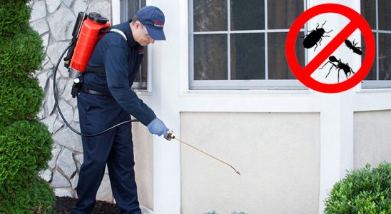 Felahiye Dezenfeksiyon böcek ilaçlama ve haşere kontrolü — ilaclama-tr.com